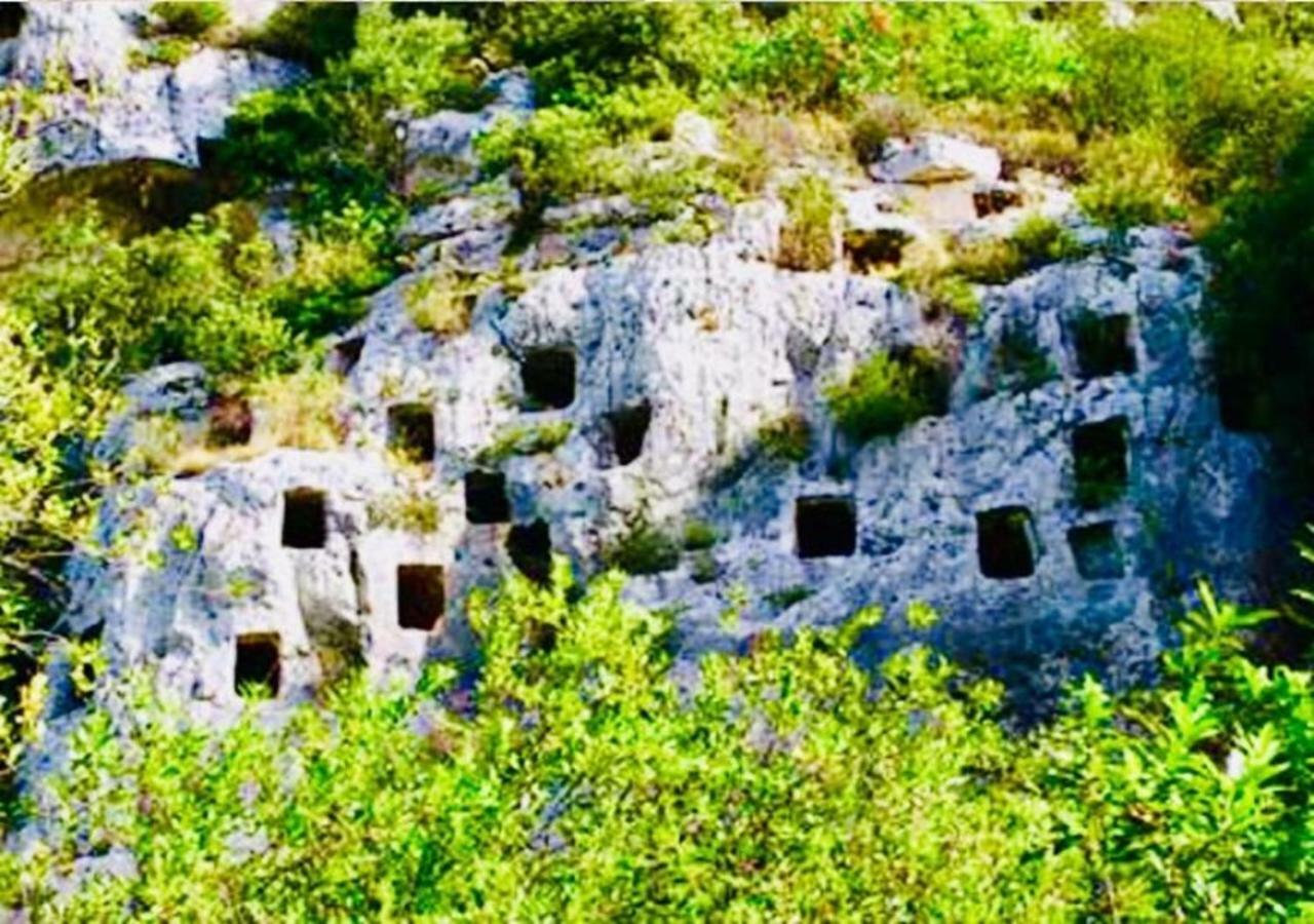 Apartment The Stone Garden